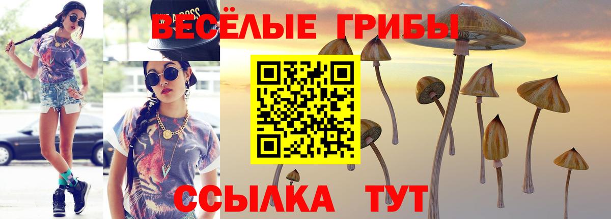 Нефтекумск  Галлюциногенные грибы мицелий  Вход с VPN  Галлюциногенные грибы GOLDEN TEACHER 